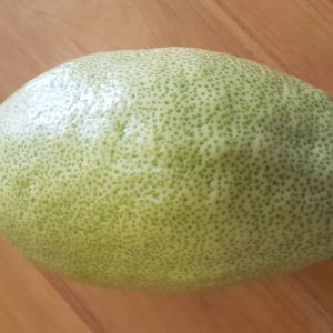 סט מהודר מן המהודר אתרוג תימני