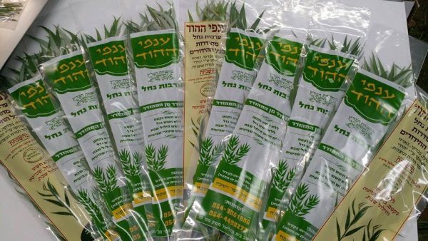 ⁦סט ערבות⁩ – תמונה ⁦2⁩