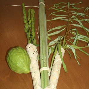 קוישקלאך גדול ואיכותי