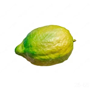 אתרוג חזון איש כשר לברכה עם פיטם